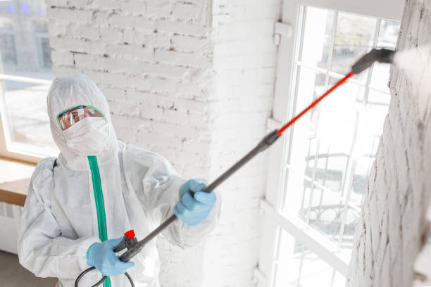 Best Forensic Mold Investigation  in Fort Knox, KY