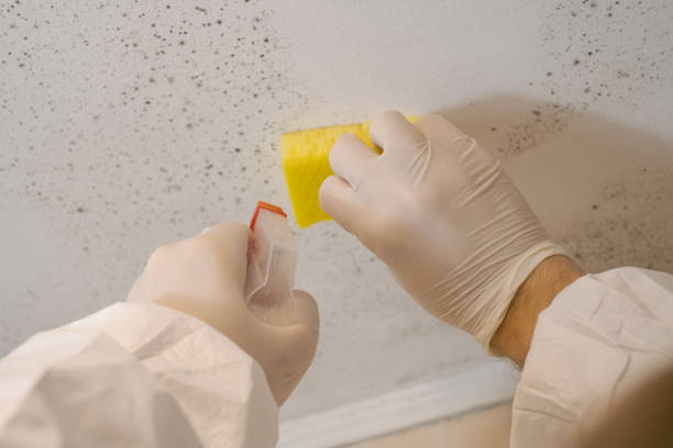 Dehumidification Services in Fort Knox, KY