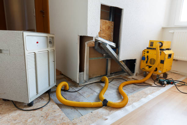 Best Mold Odor Removal Services  in Fort Knox, KY