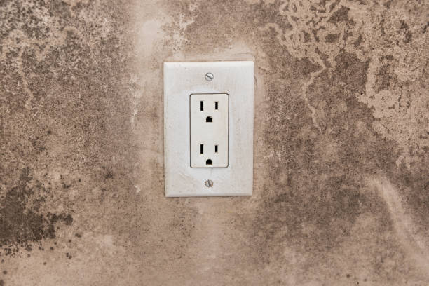 Best Water Damage & Mold Remediation  in Fort Knox, KY